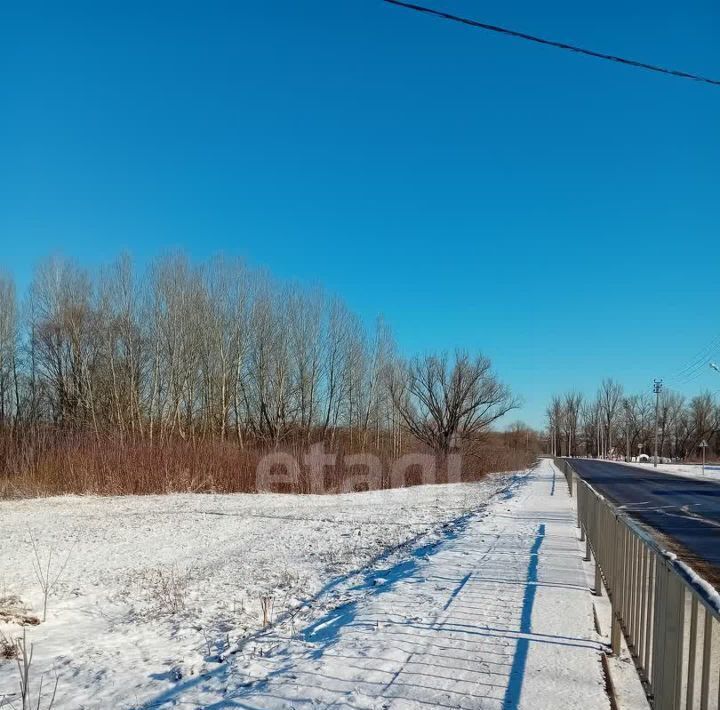 земля р-н Красногвардейский с Засосна ул Ленина Засосенское с/пос фото 2