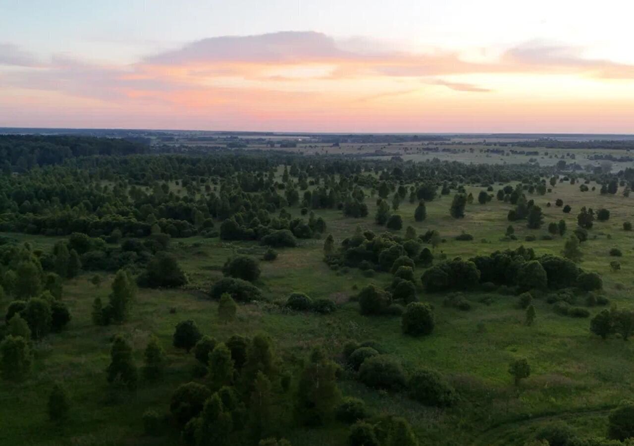 земля городской округ Ступино д Байдиково ул Муровская 63 км, г. о. Ступино, Малино, Новокаширское шоссе фото 3