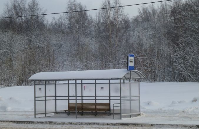 земля городской округ Ступино с Шугарово ул Лесная 61 км, Михнево, Новокаширское шоссе фото 8