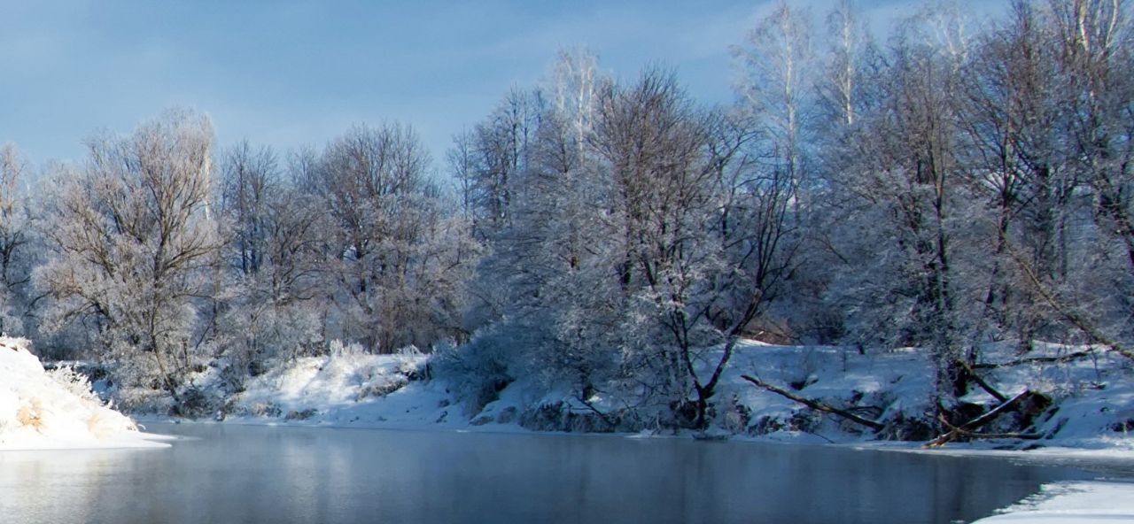 дом городской округ Ступино д Дубечино ул Кленовая 25 Михнево фото 15