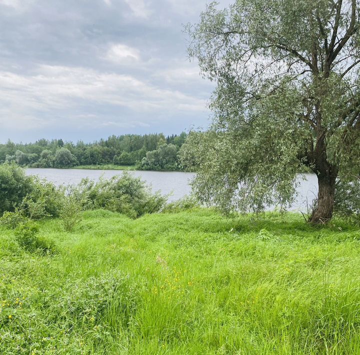 дом р-н Новгородский д Сопки пер Луговой Савинское с/пос фото 10