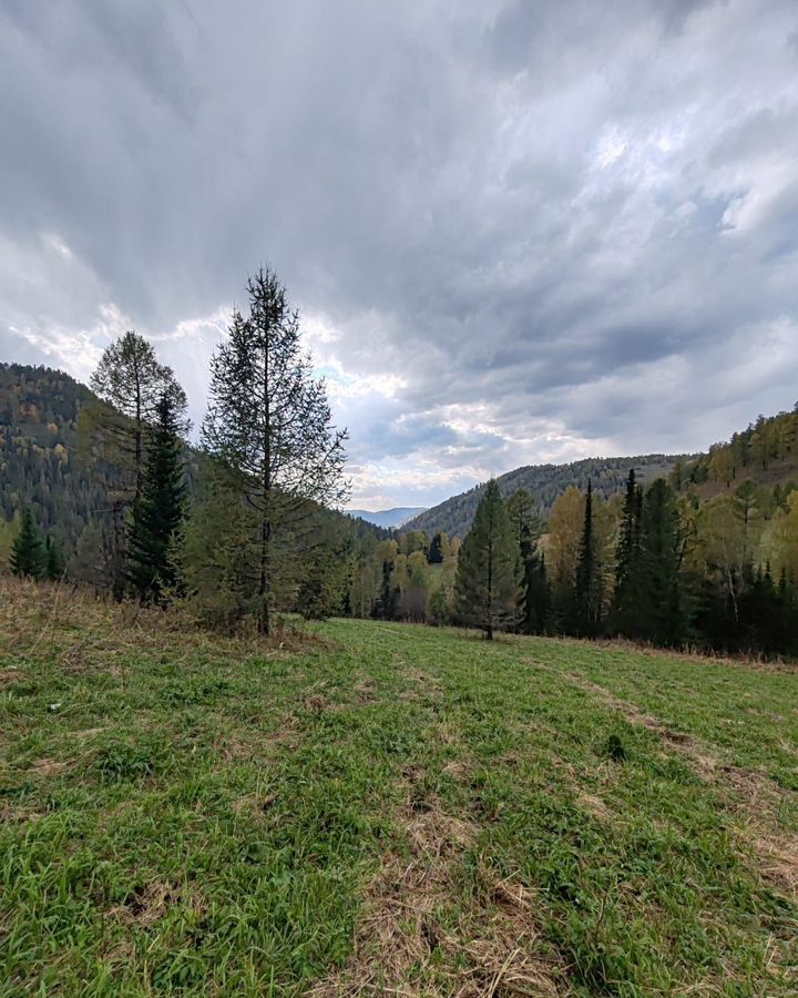 земля р-н Чемальский Горно-Алтайск фото 1