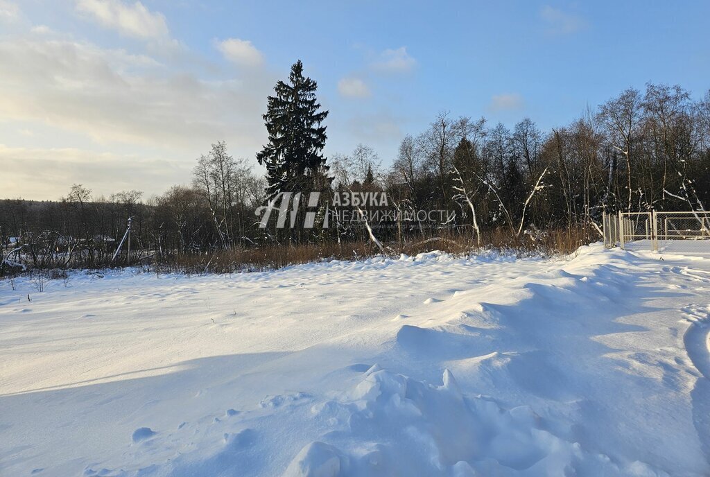 земля городской округ Истра нп Костровское д Кострово Нахабино фото 3