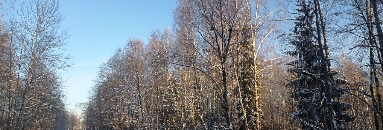 земля р-н Калининский д Савватьево ул Знаменская фото 8