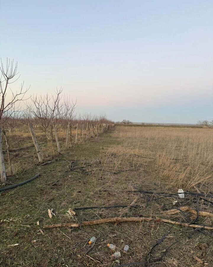 земля р-н Кизилюртовский с Комсомольское сельское поселение Село Комсомольское фото 13