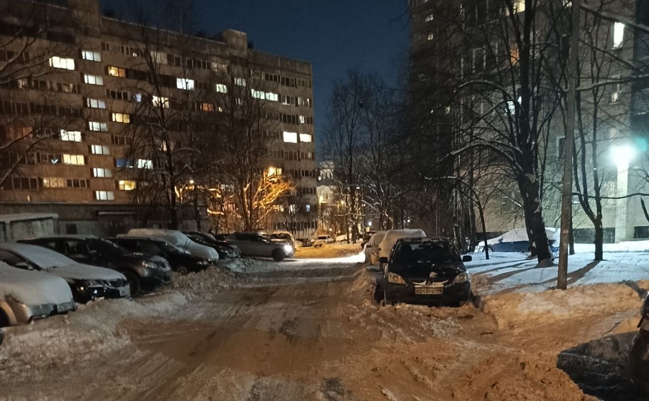 квартира г Санкт-Петербург метро Академическая ул Софьи Ковалевской 14к/3 округ Академическое фото 19