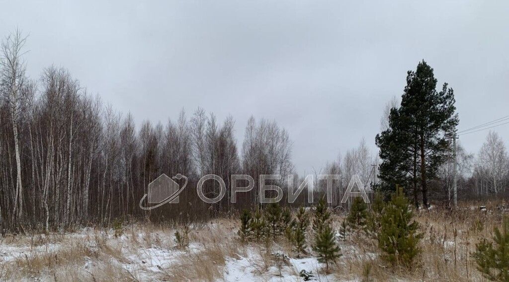 земля р-н Нижнетавдинский снт Моторостроитель ул Брусничная фото 3