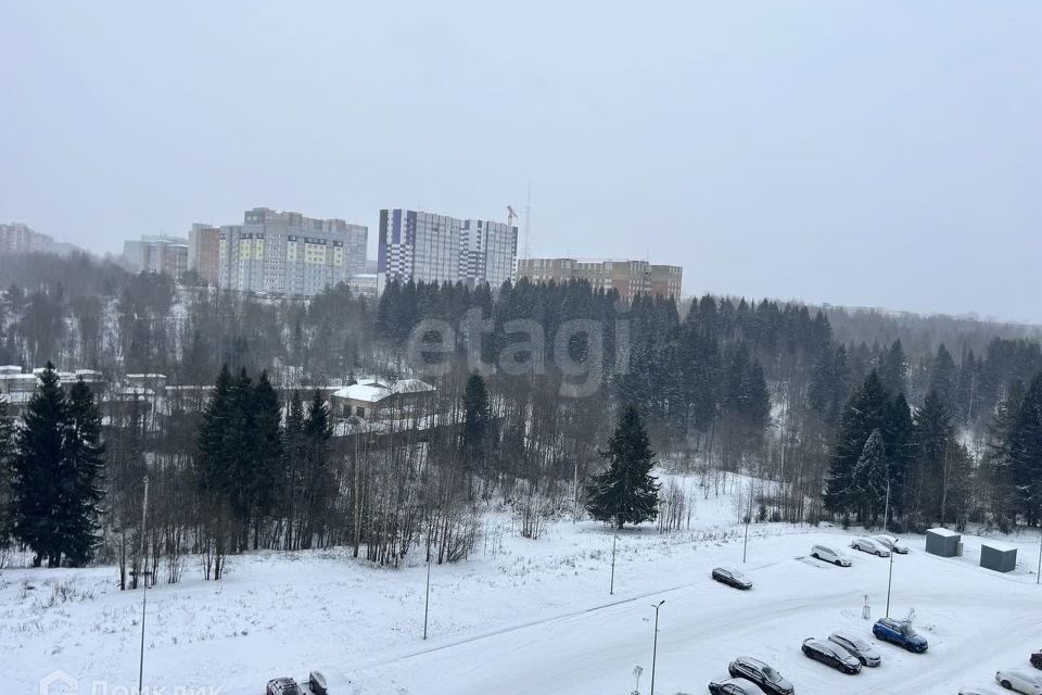 квартира г Сыктывкар ул Петрозаводская 43 Сыктывкар городской округ фото 7