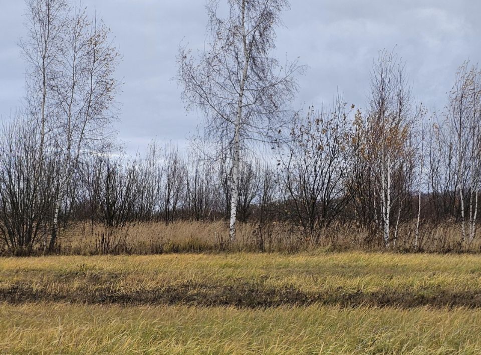 офис городской округ Луховицы д Солчино фото 2