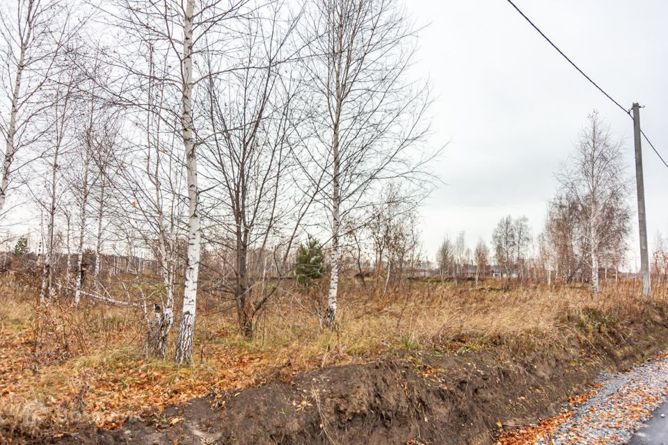 земля г Бердск городской округ Бердск, Раздольный фото 2