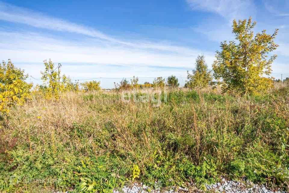 земля г Бердск городской округ Бердск, Раздольный фото 4