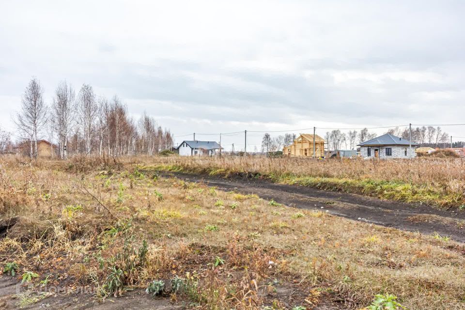 земля г Бердск городской округ Бердск, Раздольный фото 7