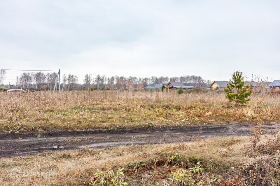 земля г Бердск городской округ Бердск, Раздольный фото 8