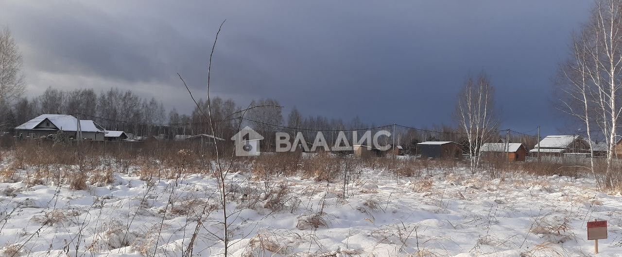 земля р-н Новосибирский п Воробьевский сельсовет, ДНТ Реестр, Новосибирск, Кудряшовский фото 1