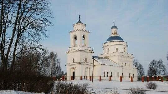 земля направление Рижское (северо-запад) ш Новорижское 115 км, 46К-9390, Шаховская фото 1