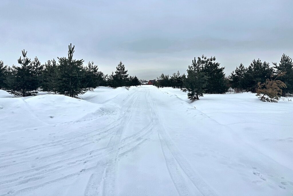 земля городской округ Дмитровский д Мелихово ул Цветочная Лобня фото 4