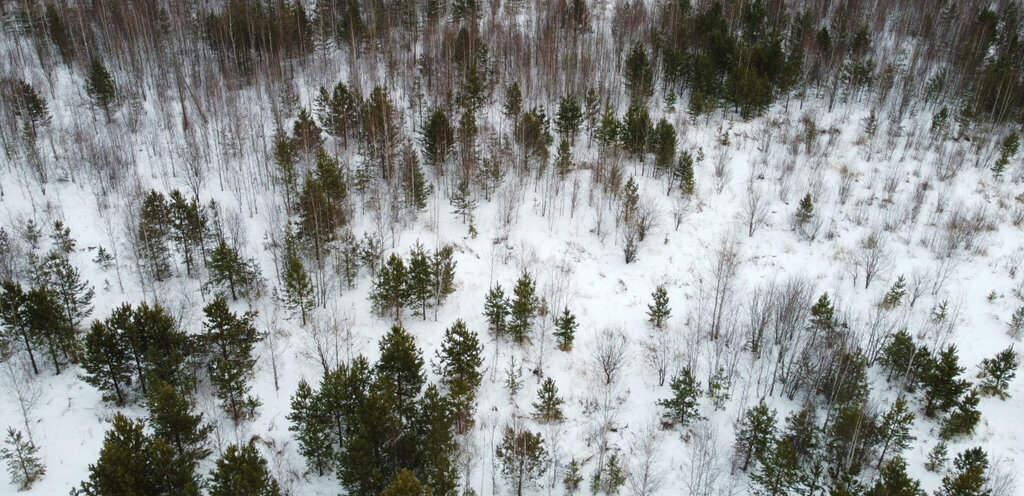 земля г Верхняя Пышма п Залесье Проспект Космонавтов фото 11