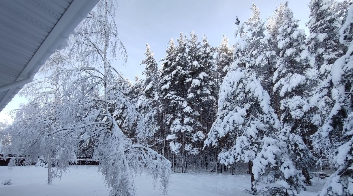 дом р-н Рязанский с Заборье ул Школьная 26 Заборьевское с/пос фото 15