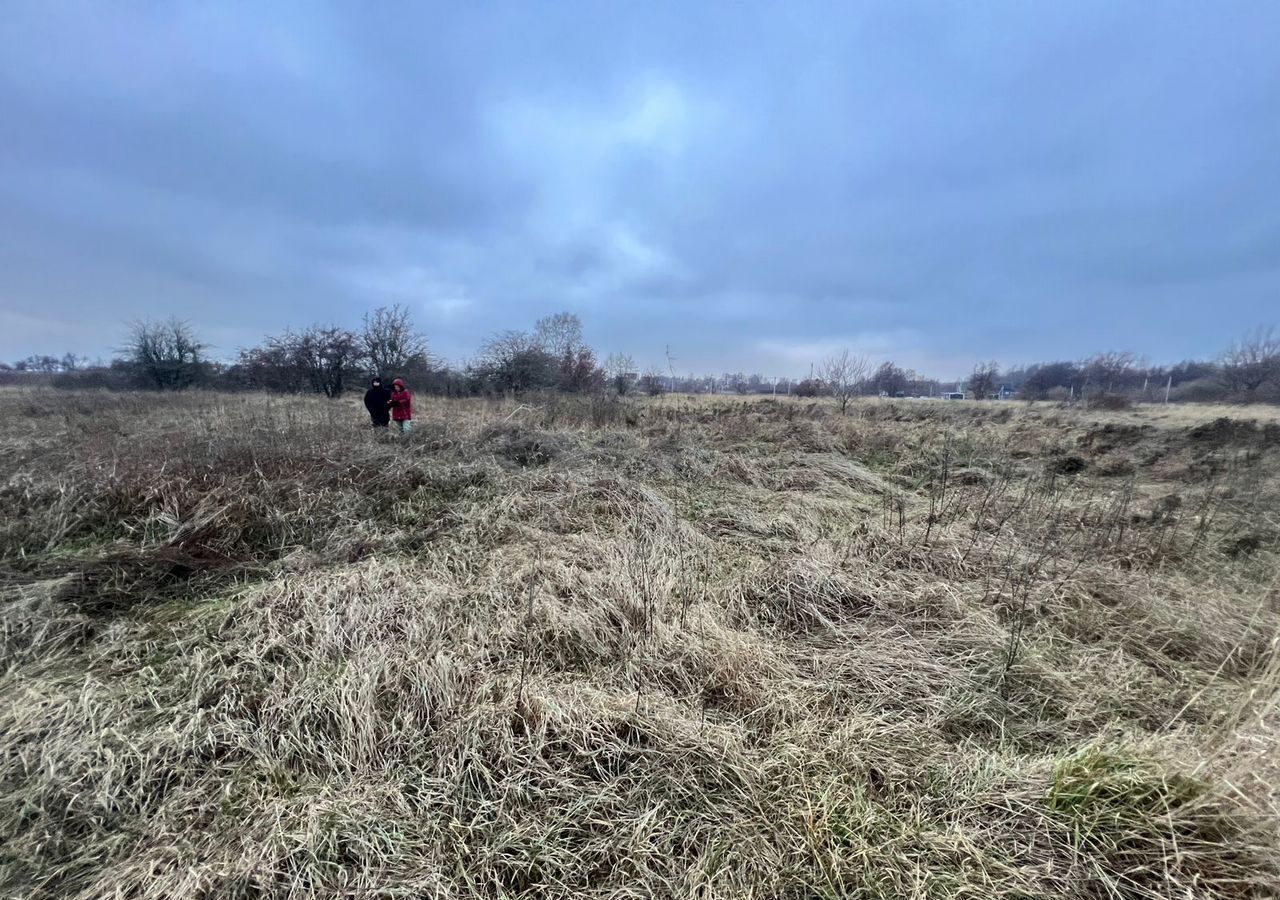 земля р-н Зеленоградский п Филино СНТ Рощино-Калининград, Донское, Зеленоградский муниципальный округ фото 8