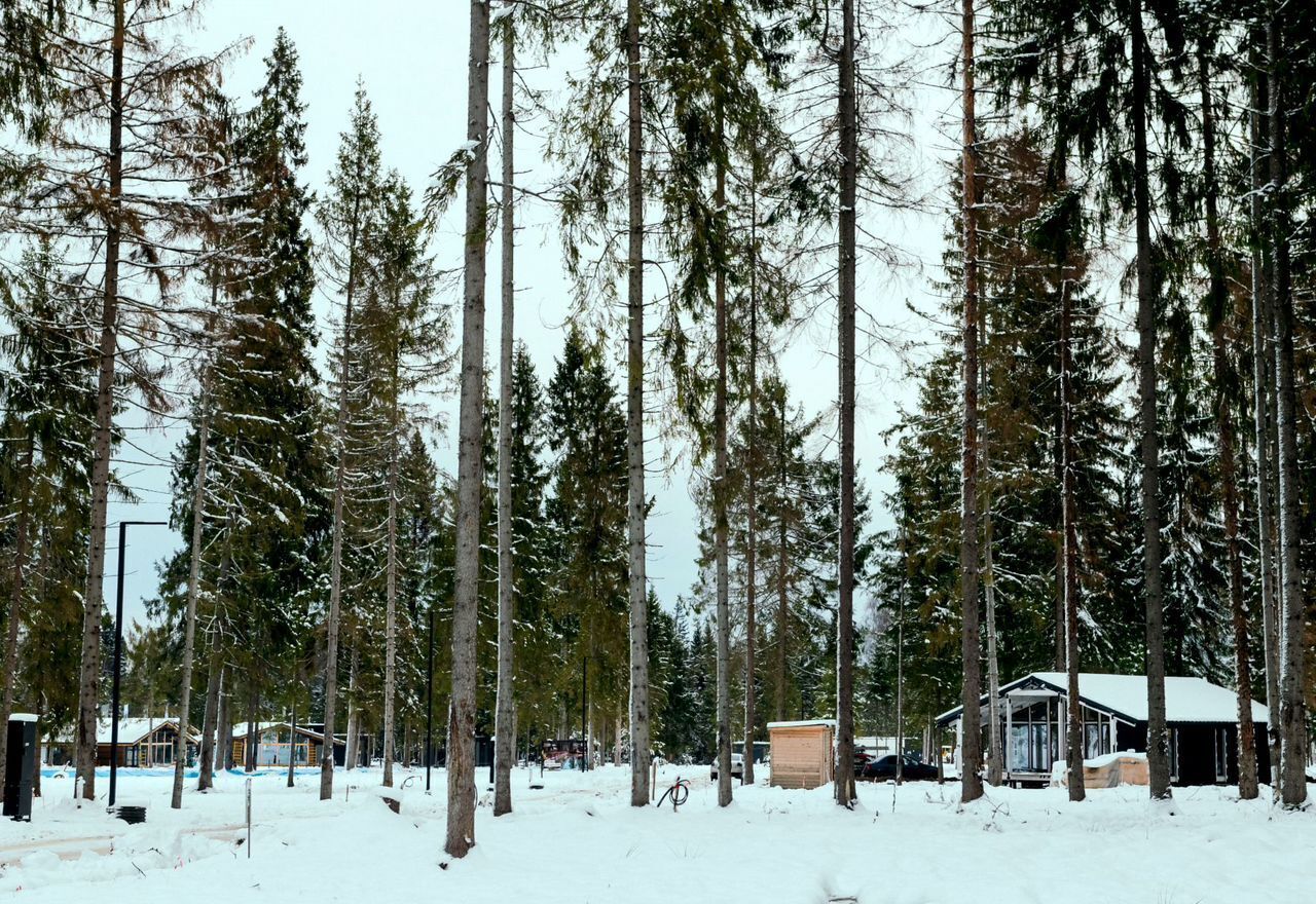 земля городской округ Клин д Тиликтино 57 км, Новопетровское, Ленинградское шоссе фото 39