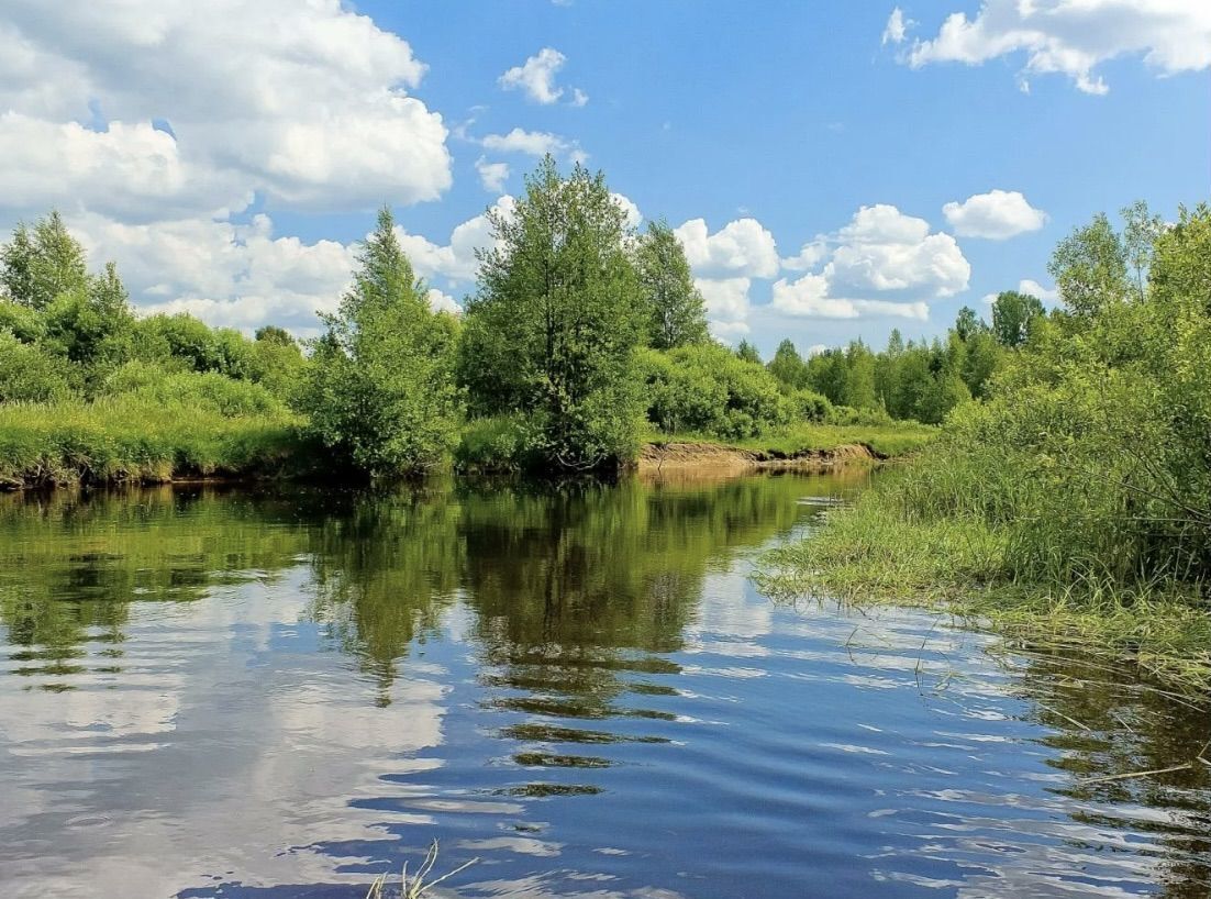 земля р-н Александровский д Таратино Ярославское шоссе, 12 км, Карабаново фото 6