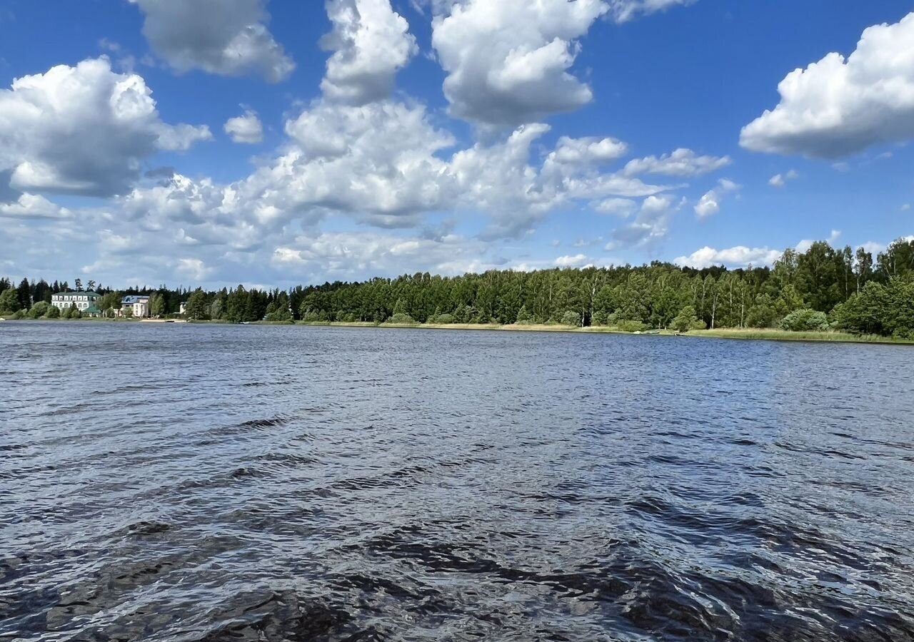 земля городской округ Волоколамский д Власьево 83 км, Волоколамск, Новорижское шоссе фото 2