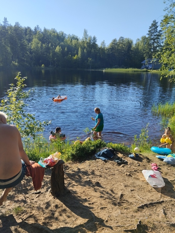 дом р-н Лужский д Турово п Лужское фото 8