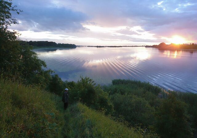 д Дворец волость, Псков, Завеличенская фото