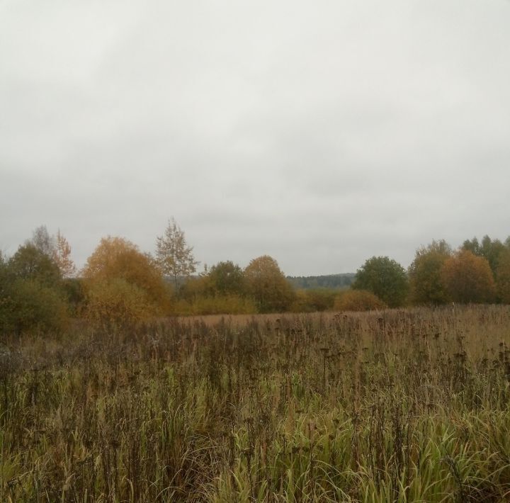 земля городской округ Солнечногорск д Вертлино фото 10