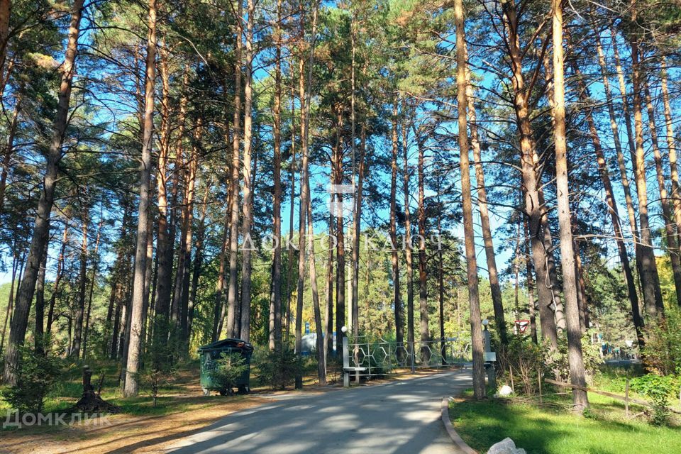 земля р-н Новосибирский п Приобский пер Рублевский фото 2