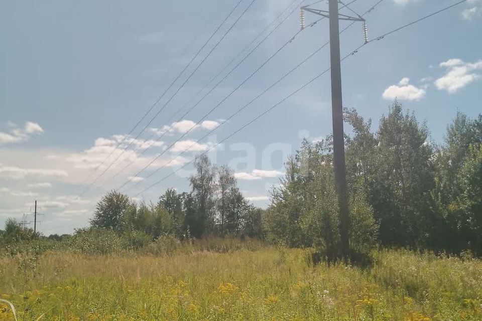 земля Калининград городской округ, СНТ Победа фото 2