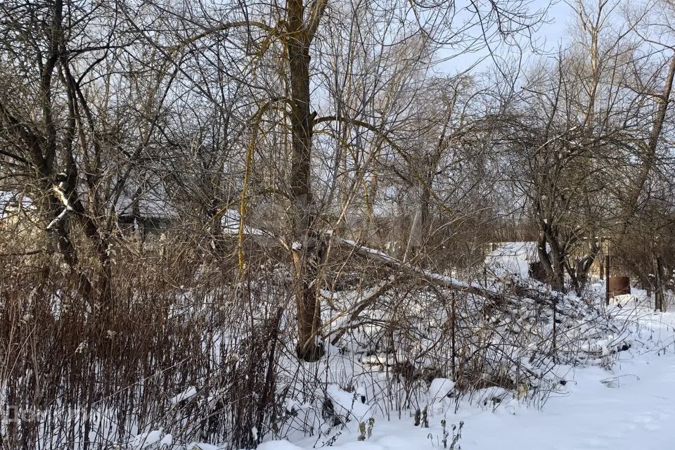 земля Коломна городской округ, СНТ Урожай фото 2