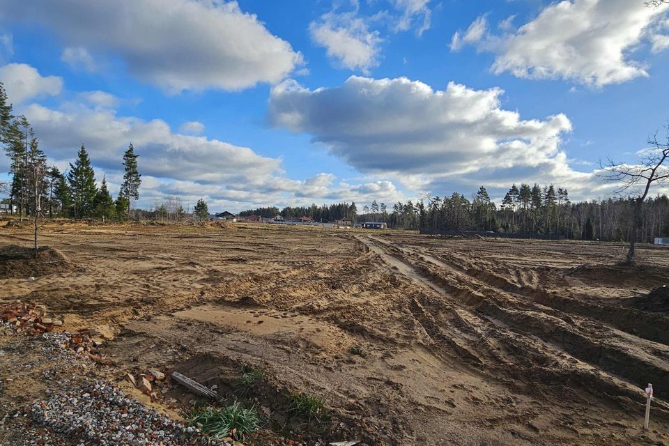 земля городской округ Богородский Восточная деревня, 65 фото 5