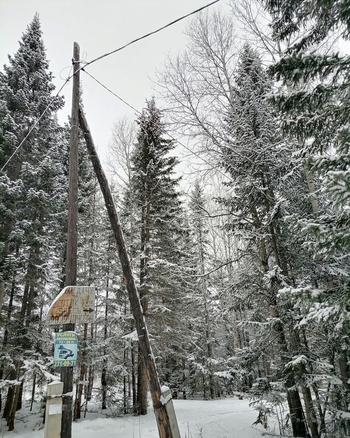 земля р-н Емельяновский Мининский сельсовет, Красноярск, садоводческое некоммерческое товарищество Аметист фото 3