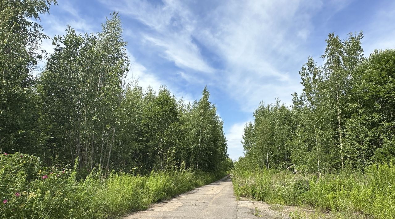 производственные, складские р-н Всеволожский Имени Морозова городской поселок, ул. Чекалова, 3 фото 22