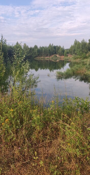 земля городской округ Павловский Посад посёлок ЛПХ Алёшкино, 174 фото 1