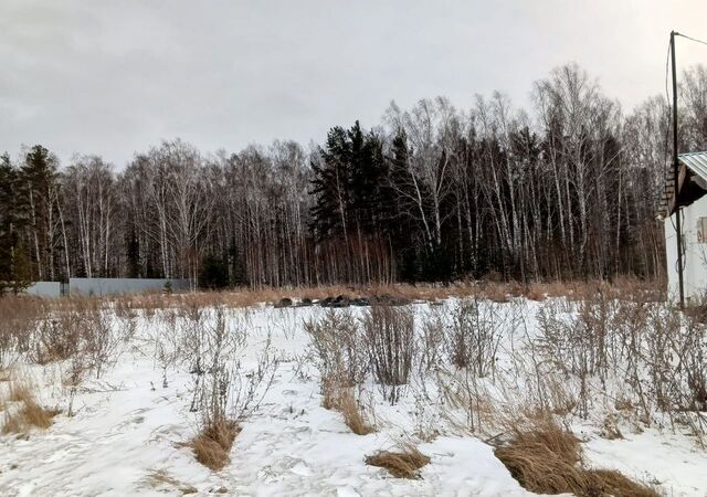 Верхнее Дуброво, Белоярский г. о. фото