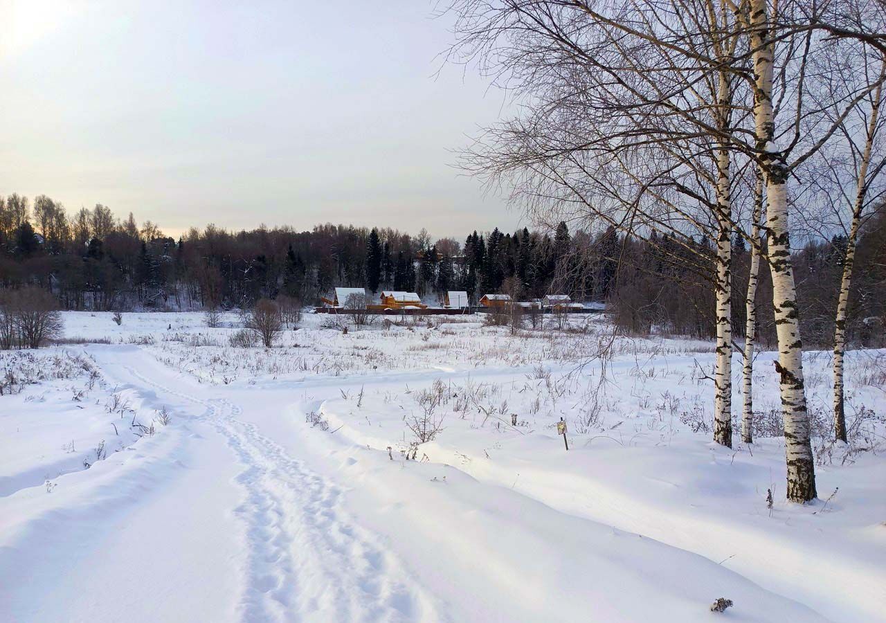 земля городской округ Дмитровский рп Деденево 41 км, коттеджный пос. Форест Клаб, 20, Дмитровское шоссе фото 2