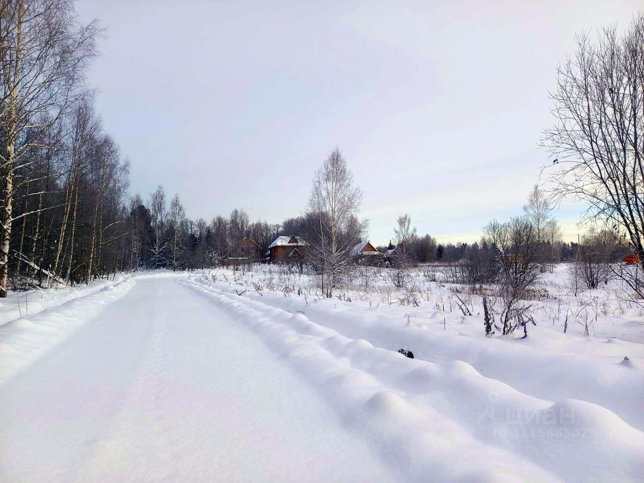 земля городской округ Дмитровский Форест Клаб кп, 11 фото 2