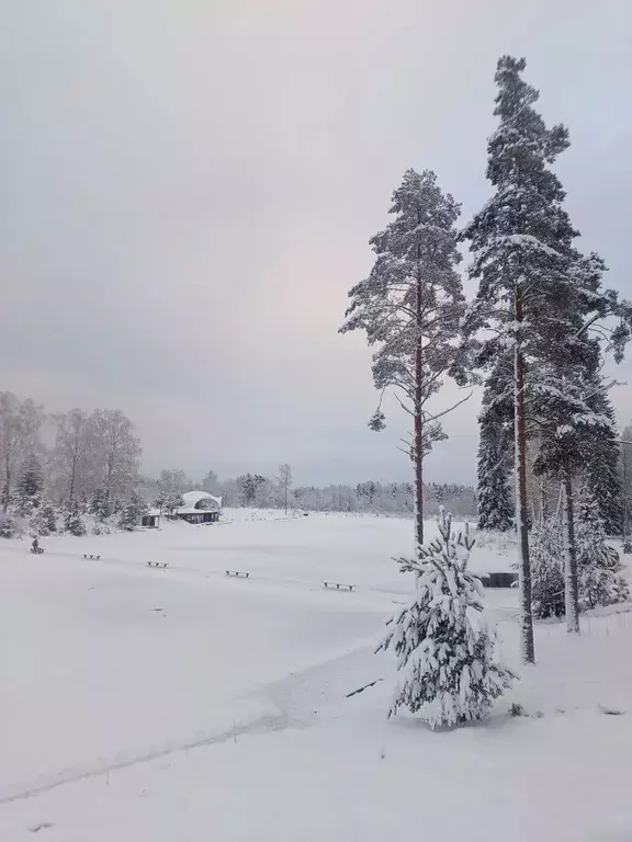 дом р-н Всеволожский п Стеклянный - улица, 901 фото 10