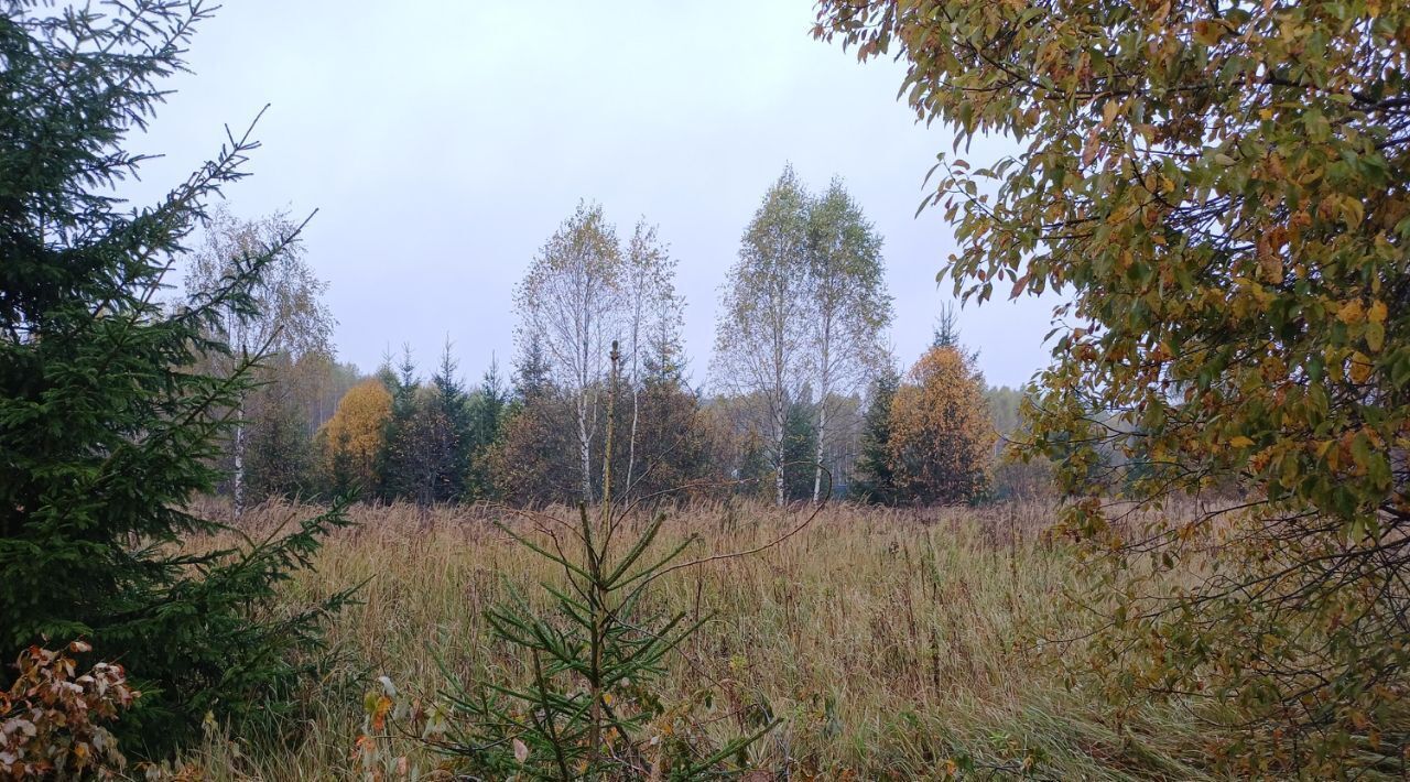 офис городской округ Наро-Фоминский д Новозыбинка фото 1