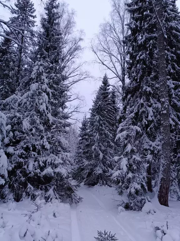 дом р-н Чкаловский г Чкаловск Зелебиха улица, 1/1 фото 4