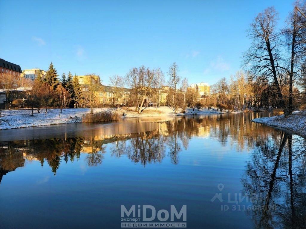 квартира г Санкт-Петербург пр-кт Новоколомяжский 13 округ Коломяги, Ленинградская область фото 24