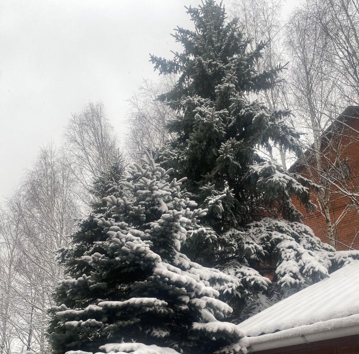 дом городской округ Одинцовский д Таганьково Таганьково-2 кп, Кокошкино, 13 фото 1