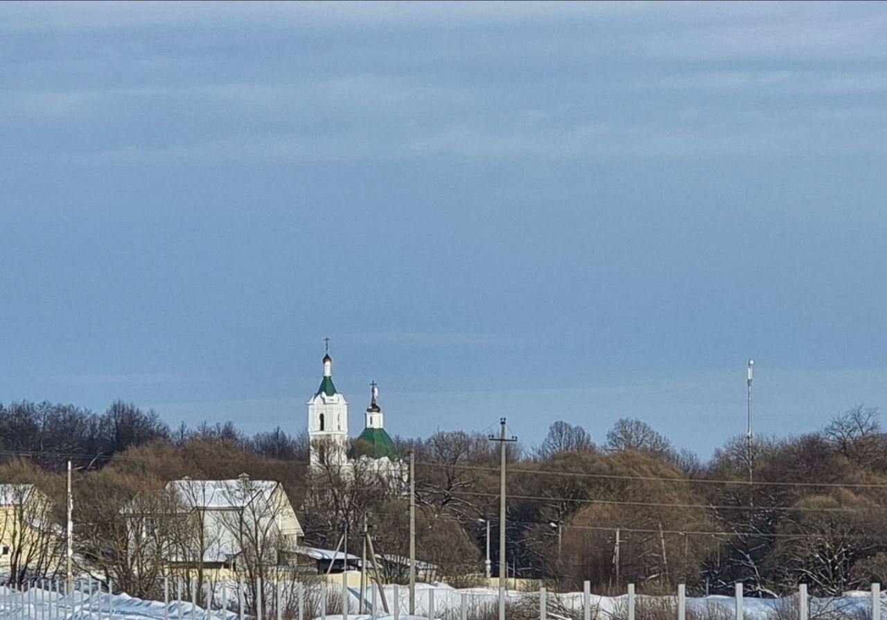 земля городской округ Домодедово с Успенское 34 км, коттеджный пос. Барыбино, Домодедово, Новокаширское шоссе фото 6