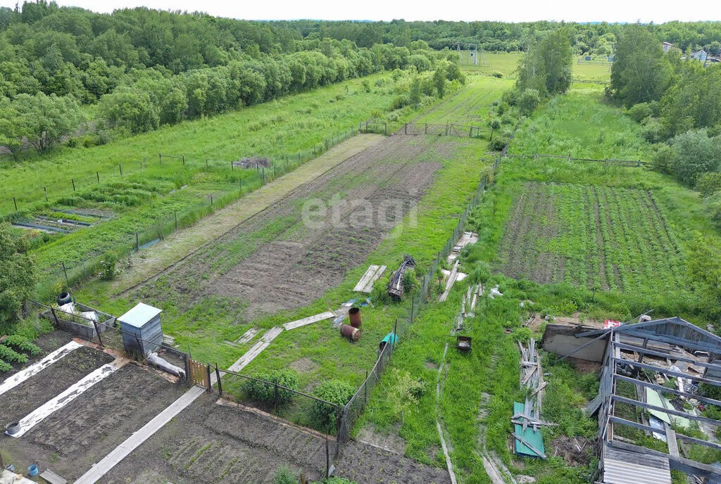 земля р-н Хабаровский с Гаровка-1 фото 9