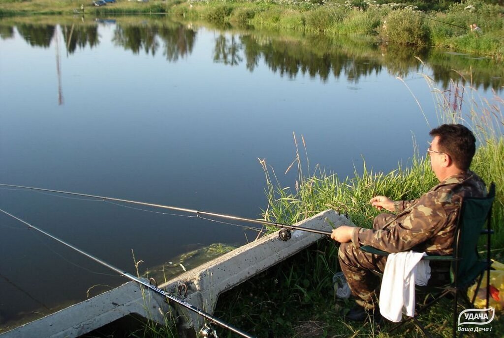 земля городской округ Шаховская ДНП Дорино фото 20