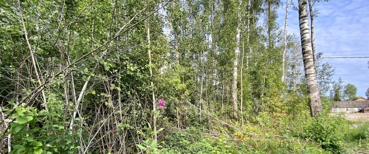 земля г Смоленск р-н Ленинский проезд Досуговский 5-й фото 2