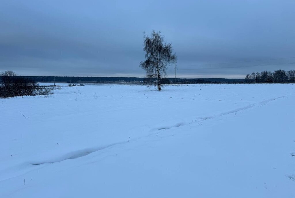 земля городской округ Раменский территориальное управление Ульянинское фото 7