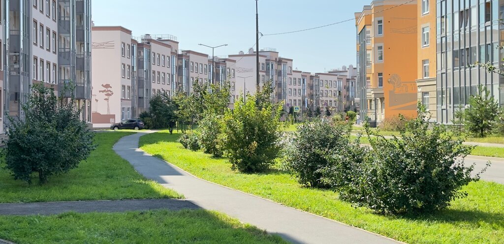 квартира г Санкт-Петербург п Парголово Парнас метро Парнас Толубеевский проезд, 14к 1 фото 7